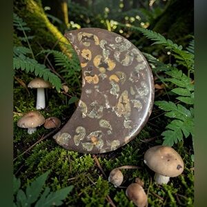 Ajooba /Fruit Jasper Cresent Moon